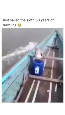 hola amigo 😂 #funnymoments 