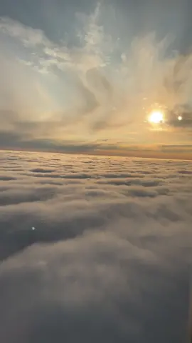 come home to FLA w me🌤️