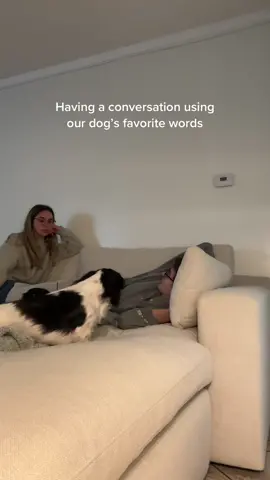 They’re so cute