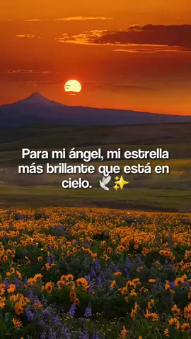 Ayer y hoy son las fechas q tendré presente por toda mi vida pq son fechas en las q tu papi te fuiste al cielo a brillar por siempre estarás en mi mente y corazón. ¡¡¡Feliz año nuevo hasta el cielo.!!! ❤️😊✨ #parati #frases #videos #añonuevo #angelenelcielo #2023 