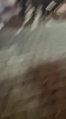 جانم. او دیوانه گگ