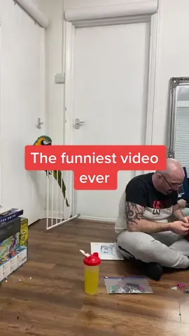 THE funniest thing I’ve ever filmed Shelby do 😂😂😂😂 #parrotsoftiktok #parrotslover #macawsoftiktok #shelbythemacaw #macaw #conedy♥️😜🙏😁 #comedygold #fypシ 