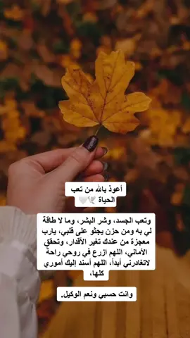 #يارب_فوضت_امري_اليك #حالاتدينية_اسلاميه_ادعيه_اذكار_قران_كريم #اللهم_صلي_على_نبينا_محمد💓🕋📿 
