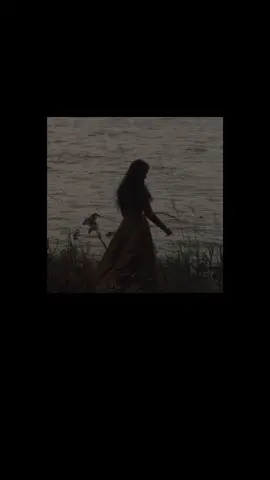 Led Zeppelin - Stairway To Heaven.  #ledzeppelin #stairwaytoheaven 