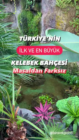 Konya Kelebekler Bahçesine gittiniz mi ? #kelebeklervadisi #kelebekler #kelebeklerim #konya #gezilecekyerler #gezilecekyerlerlistesi #gezilecekyerlerdebugün #kelebeklerbahçesi #tropikal #tropicalfruit #doğa 