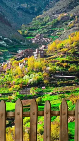دره زیبایی، پنجشیر 💛 افغانستان 🇦🇫😊 The The valley of beauty, Panjshir 💛 Afghanistan 🇦🇫 . . #هزاره_تاجک_ازبک_پشتون_ترکمن_زنده_باد🤝🇦🇫 #هزاره_پشتو_ازبک_افغان_هم_وطن #هزاره #افغانستان #كابل #فالو_کند_دوستان_عزیزم_جبران__میشه #afghan #afghanistan #fypシ #pageforyou #viral #me #