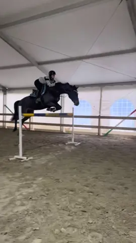 Quando tornate in gara? #perte #equitazione IG: NICOLECERESETO