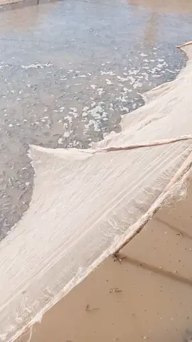 đánh bắt cá chốt ở miền tây #62longan