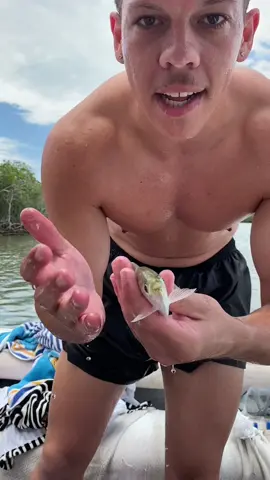 #foryoupage #fortnitestreamer #dayinmylife #dayinthelife 