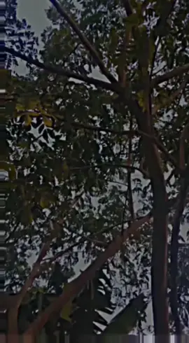 @Efti @@@@@ @Tahera Dipti 