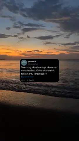sudah ya #fyp #masukberanda #yanusa 