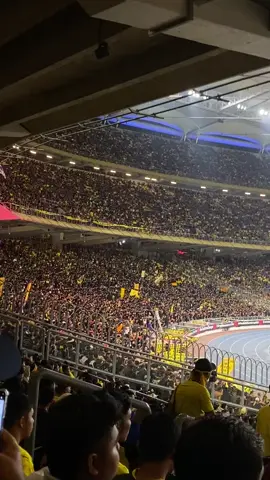 vibes dia lain macam 🔥#fyp #ultrasmalaya07🇲🇾🐯 #harimaumalaya #affsuzukicup2022 