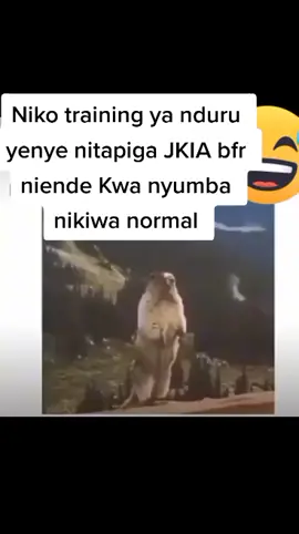 #fypシ゚ #yucadee87 