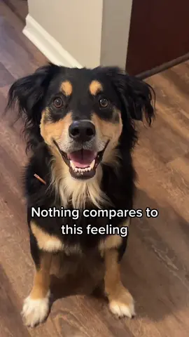 Nothing compares to this feeling 