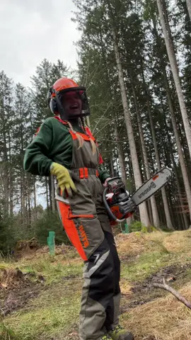 Uuuund auf gehts 🪵 #hoiz #holz #holzarbeit #husqvarna #stihl #waldarbeit #forstwirtschaft #foresty #motorsäge 