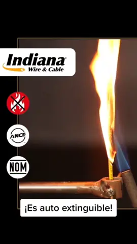 La característica “anti flama” de nuestros cables funciona de verdad 💪 #apruebadefuego #autoextinguible #cables #cableselectricos #indiana #ConectamosContigo #ferreteria #ferretero 