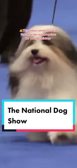 What the announcers sound like at the National Dog Show (⚠️contains satire that may not be appropriate for young kids) #dog #comedy #satire #clairbearskits 