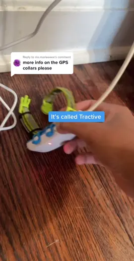 Replying to @ms.marieeeee I loveee this collar. #tractivegps #catgpstracker #petgpstracker #travelingcat #outdoorcats #veterinarian #GymTok #vetmed #catlady #cattraining #catrecomendation #catlovers 