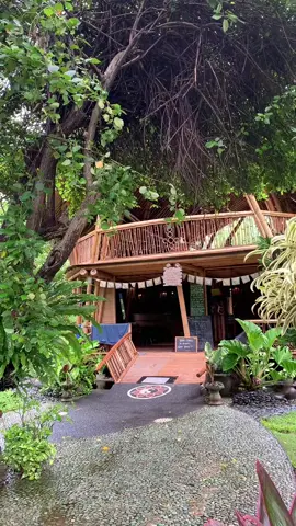 another beautiful yoga studio in bali, had a nice morning flow here 🌞 didn’t record as much bc the flows put me in a meditative state 🧘‍♀️ #bali #yoga 