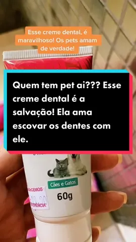 Escovar os dentes do pet, é necessário! #pet #tiktok #yorkshire #amor #maedepet #pincelleite #amor❤️ #pincelleite 