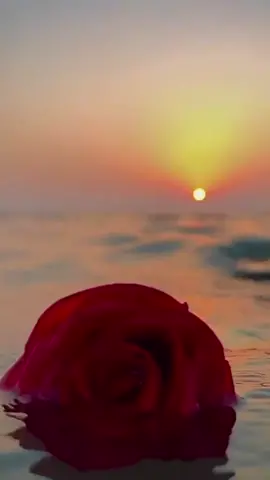 غالي وتبقى علي بالعين غالي. #عبدالرحمن_ال_عبيه #محسن_بن_محمد #يادلع #شيلات #تصميمي #اكسبلور #ترند #السعودية 