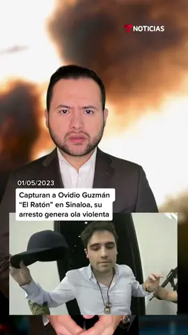 🚨 Capturan a Ovidio Guzmán “El Ratón” en Sinaloa, su arresto genera ola violenta en el estado. 