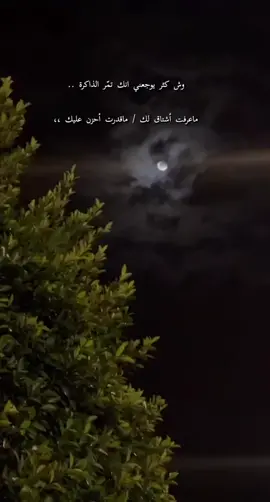 #الباحه_الجنوب #الباحة #موسم_الرياض #اغنية #موسيقى #عبدالمجيد_عبدالله #شعر#قمر