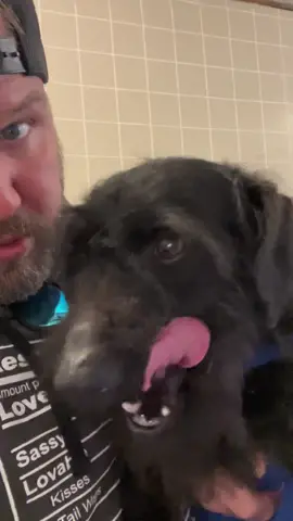 Micha is finally getting his family!! #fyp #foryou #dogvideo #shelterdog #rescuedog #adoption #woosterohio #wooster 