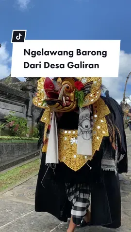 Ngelawang barong bangkung di Desa Penglipuran dari Desa Galiran 🔥 #penglipuran #penglipuranbali #penglipuranvillage #desapenglipuran #balineseculture #senibali #tradisibali #galunganday #ngelawang #ngelawang_bali #ngelawangbarongbangkung #barongbali #fyp 