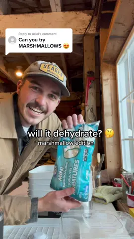 Replying to @Ariel will it dehydrate? Marshmallow edition, also featuring a genius trail mix recipe that’ll change your life👌🏻 #dehydrator #dehydratingfood #dehydratedmarshmallows #backpackingfood 