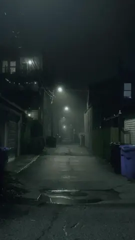 The long hallway. #fyp #fog #rain #city #night #aesthetic #liminal #vibes #mood #dark 