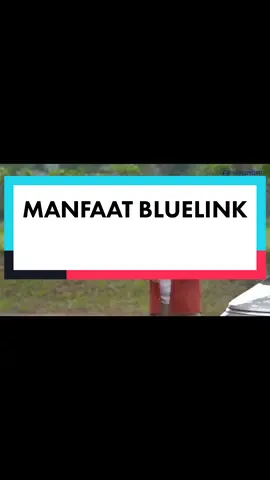 manfaat bluelink #hyundaistargazer #bluelink #fyp 