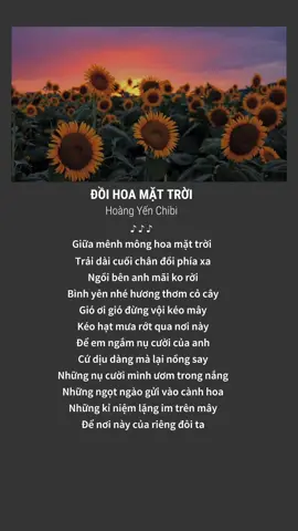 Đã từng muốn chinh phục cả thế giới, nhưng cuối cùng quay đầu lại mới nhận ra, từng mảnh, từng mảnh trong thế giới ấy đều là em..#lyrics #doihoamattroi #hoangyenchibi #nhacchill #fyp #xh 