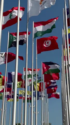 🇶🇦🇵🇭🤝🎥 “Flag Plaza” Flag Plaza in Qatar celebrates rich cultures of countries around the world. The place is home to 119 national and coalition flags including the Philippines 🇵🇭. The flags have been raised, forming a community space for people to view and enjoy. Flag Plaza is located near MIA Park on Doha Corniche, Qatar. #qatar #dohacorniche #corniche #flags  #philippines #flagsplaza🇶🇦❤️🇵🇭   📍 | Mia Park, Doha Corniche  🌏 | Qatar 🇶🇦 📷 | Nikon Z9 & DJI Osmo Mobile 👨‍🎨 | @richdvera