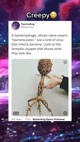 lowkey scared 😳 #bacteria #fypシ #bacteriophage 