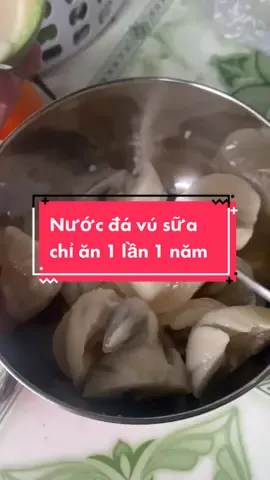 Cây vú sữa 95t bằng tuổi ông nội mình nó thì còn còn ông nội thì k còn nữa 😥#ancungtiktok #nguyetanh6633 #xuhuong 