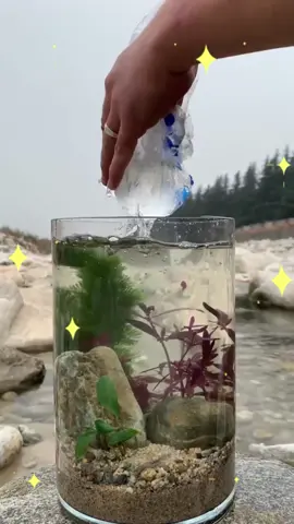 Aquarium landscape materials from nature, nice #aqua #aquarium #fish #nature #river #plantedtank #grasstok #fishtank #freshwateraquarium #landscape #stone #plantsoftiktok #fyp