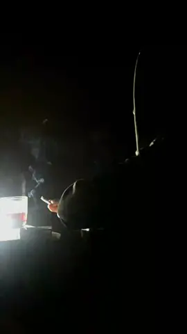 kita harus bisa melupakan masalalu yang pernah terjadi. #fypvibessss🦋 #fyftiktok  #videomalam #viraltiktok  #fypvibesシ #fypage  #videos #fyp #fypシ #videosad  #reelvideos #repost #videovibes  #forevenge #vedeo #reels__tiktok  #reels #reelsvideo #forevengeserana 