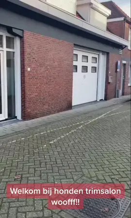 #roosendaal #centrum #hondentrimsalon #hondentrimsalonwoofff!