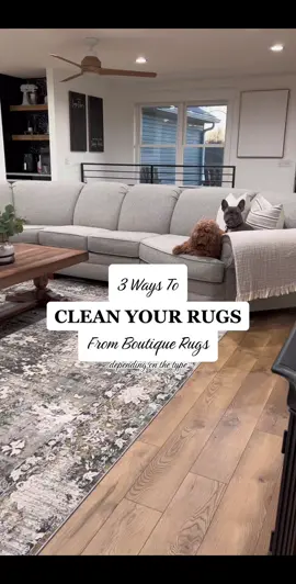 Not the dogs mean mugging me in the beginning 😂 @boutiquerugs #boutiquerugs #boutiquerugspartner #CleanTok #cleaninghacks #cleaning101 #cleaningrugs #rugcleaning #rugcleaningtiktok #cleanwithme #cleaningmotivation 