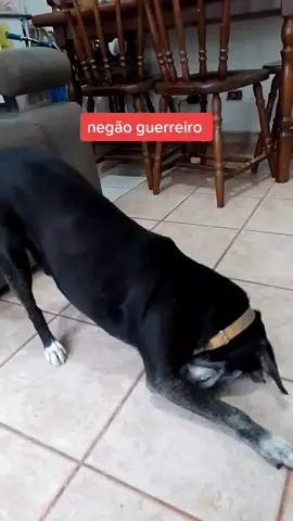 negão 