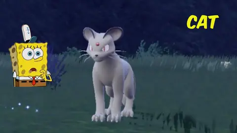 3 bandz is crazy. Every like helps lyfe get his money back #1721ro #fypagetiktok #fatedclan #pokemonscarletgameplay #pokemongameplay #pokemon #pokemonscarletviolet #pokemonscarlet #spongebobsquarepants #fypシ #fyy  #foryou #foryourpage #pokemonviolet #funny #foryou #fy #fyp #pokemontiktok #funnytiktok #pokémon #pokemoncommunity 