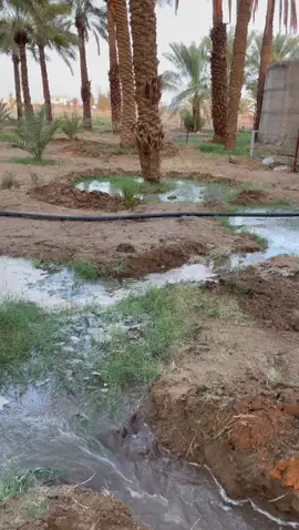 #مزارع  #الخرمة 