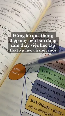 Từ khoá của thành công chính là kiên trì và không bao giờ bỏ cuộc🔥#motivation #dongluc #dongluchoctap #videodongluc #study #trichdanhay #foryou #fyp #LearnOnTikTok 