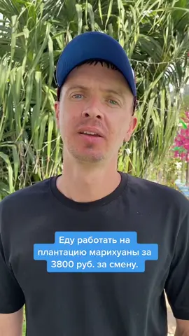 Хитрые иностранные работодатели.
