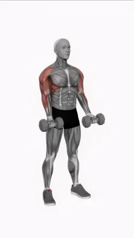 The DUMBBELL CURL PRESS EXTENSION is the exercise to do when you'd like high performance and mobility on your arms and shoulders! Try it and let us know in the comments how you like it 💪 👉You can support our animation work for just $2/month at www.exerciseanimatic.com 🔥All the exercises you need: #Strength #Bodyweight #Stretching #Calisthenics #Home workout #Functional #Plyometrics #Cross Exercise #Boxing #Powerlifting #EXERCISEANIMATIC #Fitness #gym #workout #fitnessmotivation #fit #motivation #bodybuilding #training #health #Love #Lifestyle #instagood #fitfam #healthylifestyle #sport #GymLife #healthy #gymmotivation #personaltrainer #crossfit #instagram #muscle #fitnessmodel #follow #fashion #exercise #like #weightloss #model #video #stock #footage #stockvideos #animation #passiveincome