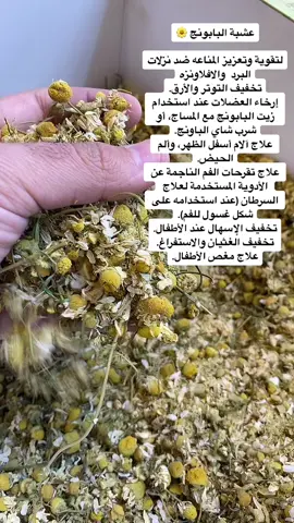 #عطارية_شيخ_الجبل  #فوائد الاعشاب عشبة البابونج #اكسبلور 