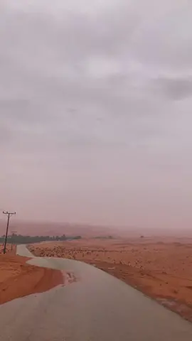 اختار من زين العلوم الجزالي #مصلح_بن_عياد #explor 