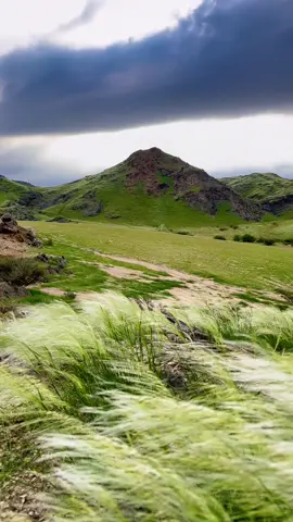 #اكسبلور #جدة #ربيع_جده #ربيع 