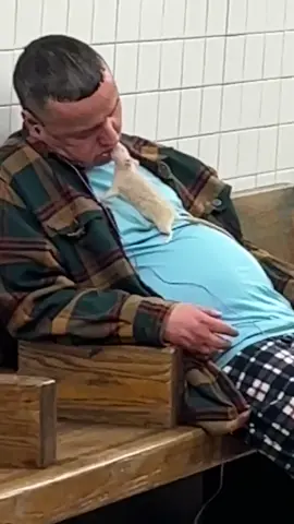 Andddd that’ll be enough for the day #subwaycreatures #fyp #foryoupage #subway #iloveny #nyc #rat #wtf 